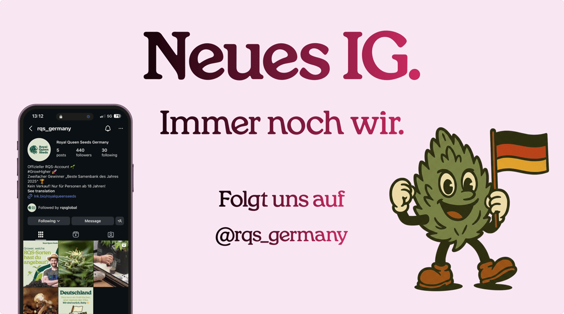 New IG Germany mob-1
